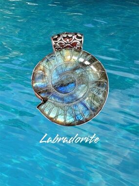 Labradorite Ammonite Pendant silver plated Necklace - Iridescent Blue-Green